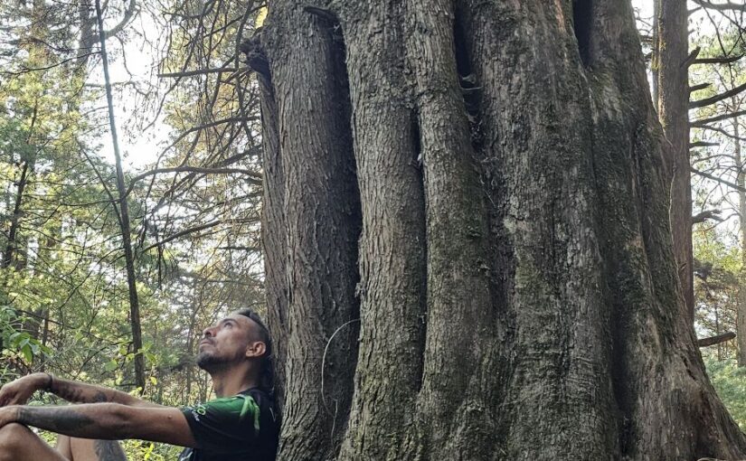 Lo que pienso mientras corro.